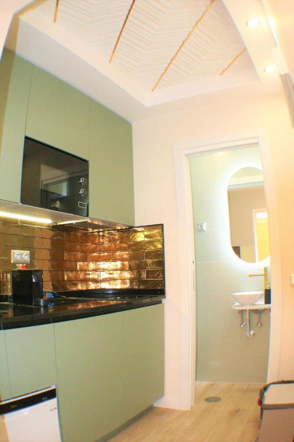 Lujoso Centrico 1 Apartment